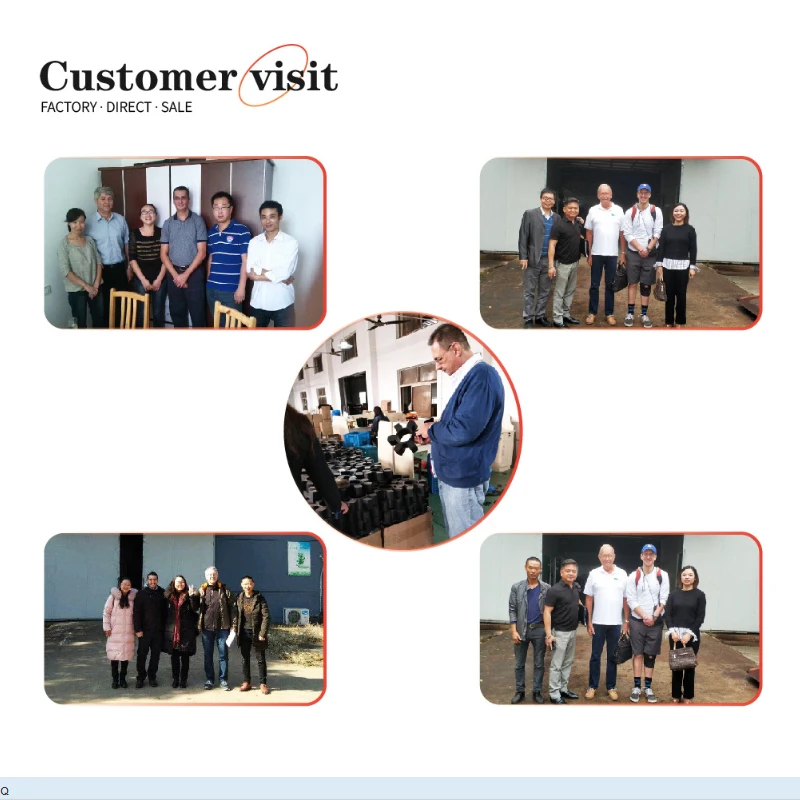 Customer visit Customer visit